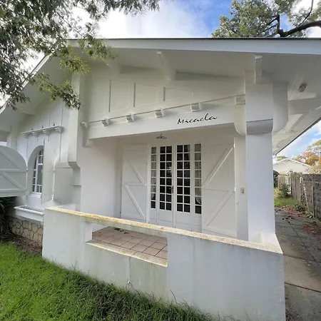 Charmante Maison Aux Abatilles : 2 Chambres, Jardin Pres De La - Fr-1-474-290 Arcachon