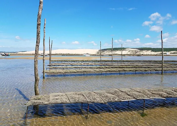 Villa Charmante Maison Aux Abatilles : 2 Chambres, Jardin Pres De La - Fr-1-474-290